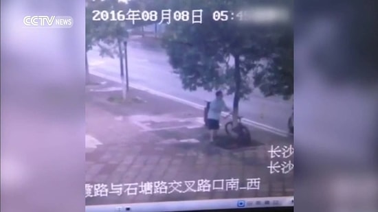 Мужчина срубил дерево, чтобы украсть велосипед