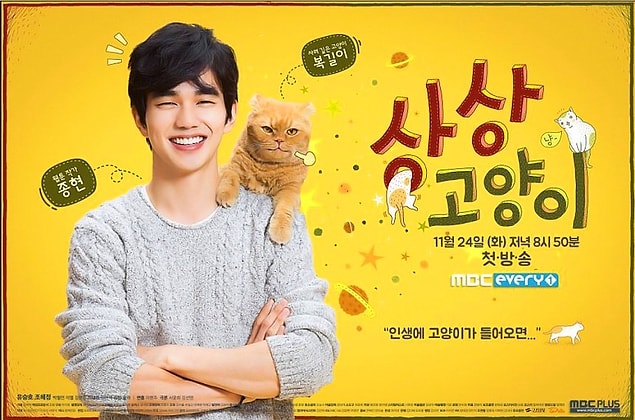 7. Imaginary Cat (2015-2016)