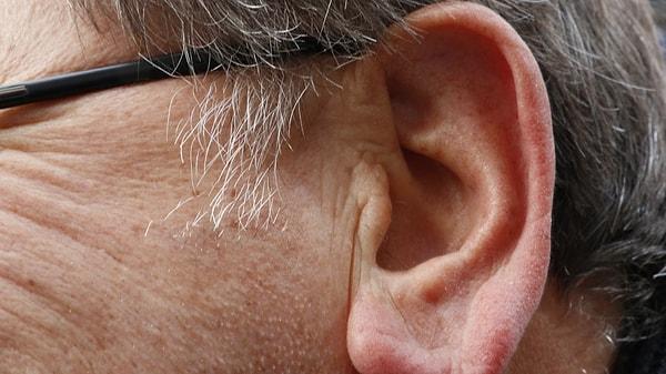12. Yaşlı İnsanların Kulakları Neden Büyüktür?