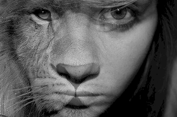 8. Лев: Соберет банду вместе