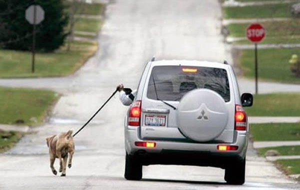 15. Нашел выход 😎