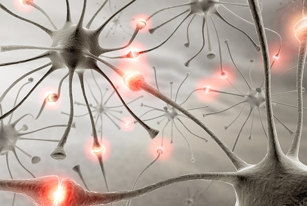 4. Как и любые другие, мускулы мозга атрофируются, если их не использовать.