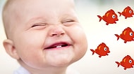 0-3 Yaş Arası Tayfanın Deli Olduğu Popüler Şarkı: Kırmızı Balık Kaç Kaç Kaç!