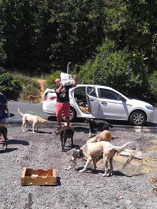 Bu mamalardan birini hemen alıp aşağıdaki adrese gönderebilir, kendiniz Reşadiye Ormanları’na ulaştırabilir ya da para yardımını aşağıdaki IBAN’e yaparak, desteklerinizi ve güzel dileklerinizi bize iletebilirsiniz.
