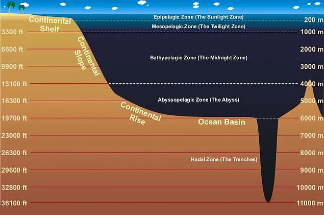 İlk anda 11.521 metrelik bir derinliğe inildiği hesaplanmış, ancak 1995 yılında yapılan ölçümlerde doğru derinliğin 10.916 metre olduğu anlaşılmıştır.