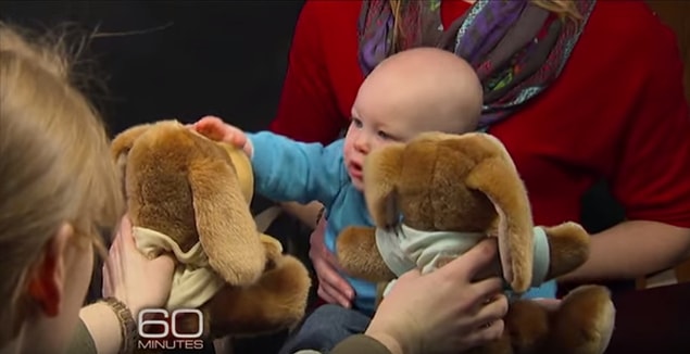 After this play, babies are shown both the helper and the other puppet together. 3/4 of the babies chose the puppet that was trying to help. Unbelievable.