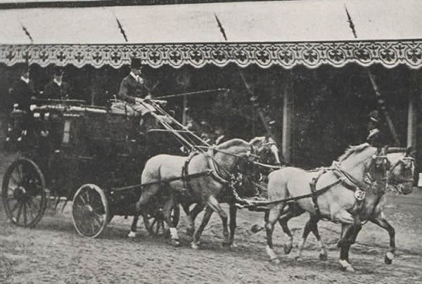 Конный спорт тогда: