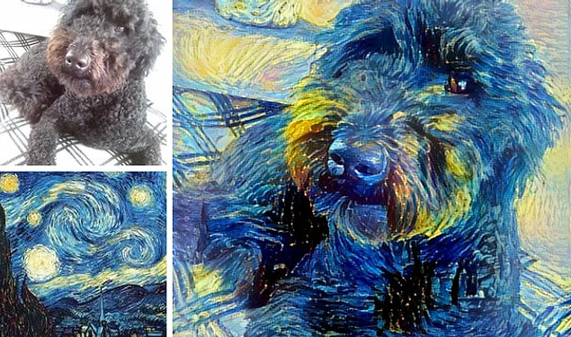 Van Gogh'un 'Yıldızlı Gecesi' köpeğinizle buluştuğunda aşağı yukarı böyle bir şey ortaya çıkıyor.