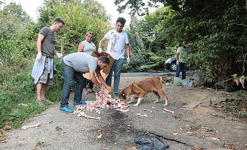 Yapabileceğiniz ufacık bir yardım ile sevinç taklaları atmalarına, karınları tok şekilde uyumalarına yardım edebilirsiniz.