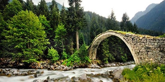 Görür Görmez Rize'nin Yeşilinde Kaybolmak İsteyeceğiniz 24 Fotoğraf
