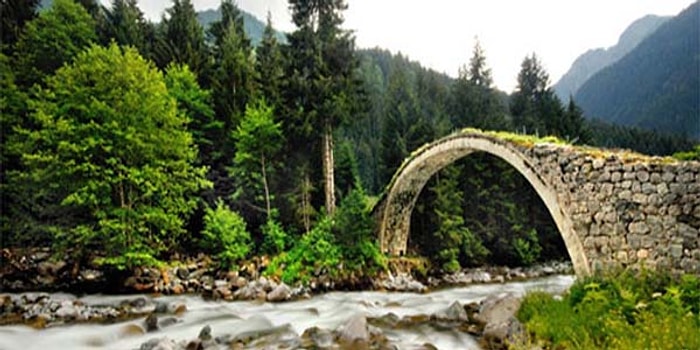 Görür Görmez Rize'nin Yeşilinde Kaybolmak İsteyeceğiniz 24 Fotoğraf