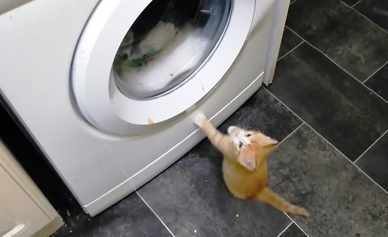 Помочь стиральной машине - их долг 😂