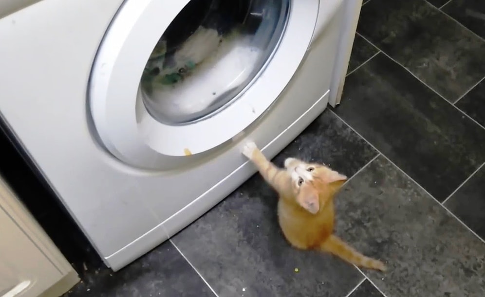 Помочь стиральной машине - их долг 😂