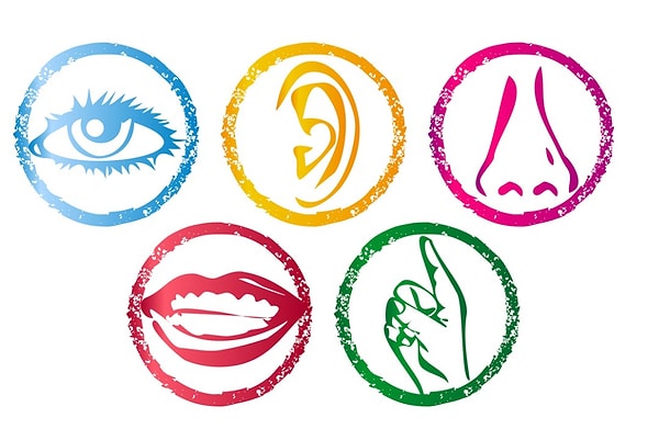 18. Миф: "У человека всего 5 чувств"