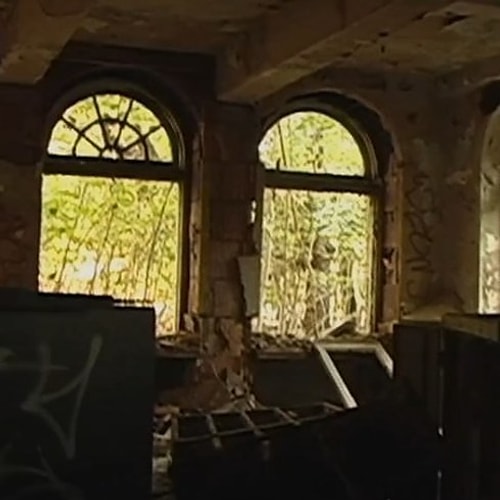 Cropsey (2009)