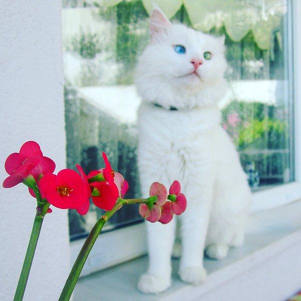 Çiçekleri çok seviyor. Ama en çok karanfili :)