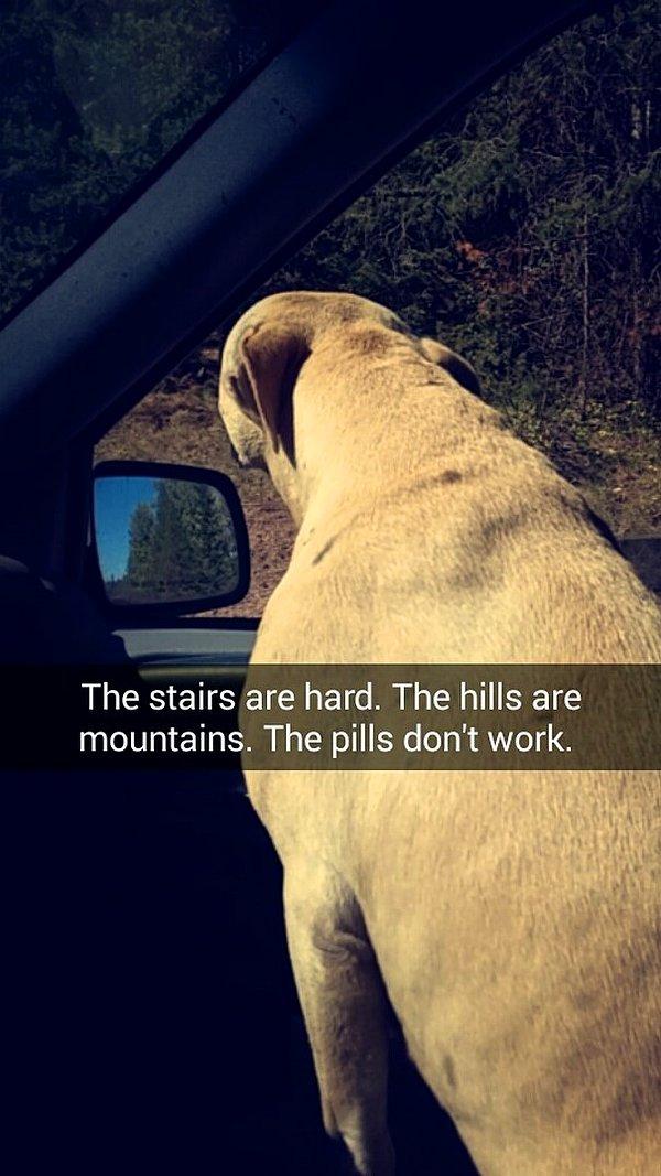 "Merdivenler zor. Tepeler dağ gibi geliyor. İlaçlar yararsız."