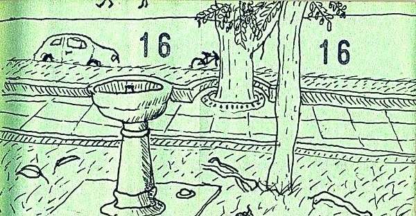 5. Питьевую воду можно найти повсюду.