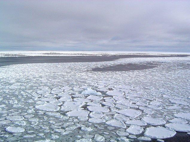 19. Kuzey Buz Denizi'ndeki buzulların, 1975-2012 yılları arasında %65'lik bir kısmı yok oldu. Böyle devam ederse, yüzyılın sonunda tamamı yok olacak.