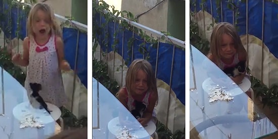 Dünyanın Bütün Kedilerini Eve Sığdırabileceğini Düşünen Sevimli Ufaklık