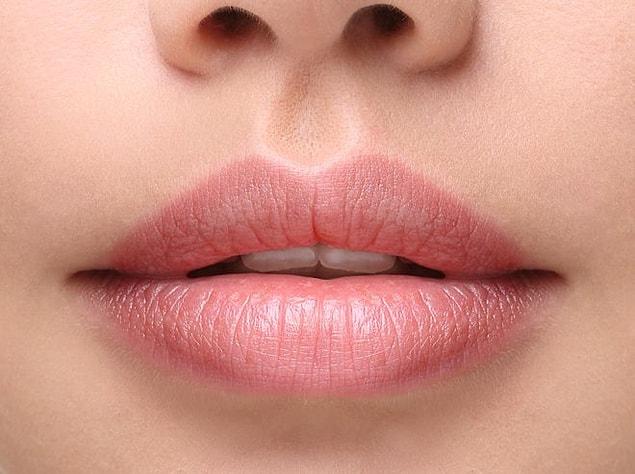 4. The lips seem pink due to the blood veins in them.
