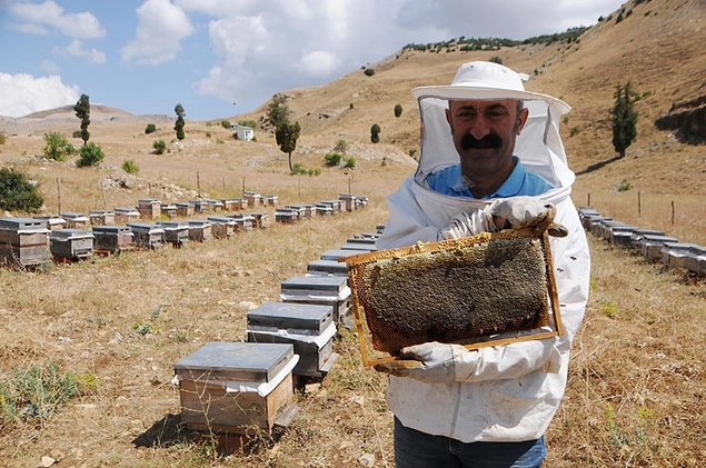 Organik nohut, kuru fasulye ve patatesin ardından organik bal yapmak üzere Ovacık, Pülümür ve Hozat ilçesinde organik bal üretimi yapan kırk arıcı ile anlaştı ve bu balları piyasaya sürdü.