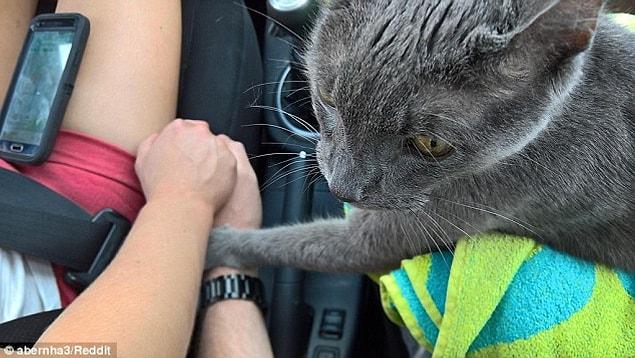 He didn’t let go of his owner’s hands on their last trip together... 😢😢
