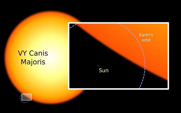 9. Ancak yaşam kaynağımız Güneş de, Samanyolu'nun en büyük yıldızlarından olan VY Canis Majoris'in yanında kum zerresi gibi görünmektedir.