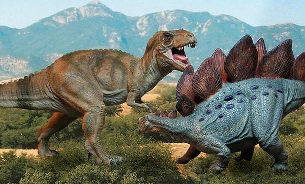 16. Tiranozorlar ve Stegosauruslar arasındaki zaman farkı, Tiranozorlar ve insanlar arasındaki zaman farkından daha fazladır.