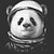 astronotpanda