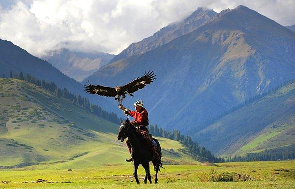 21. Atlı Kırgız Berkutchi (kartal avcısı) kaya kartalını, Kyrchin bölgesindeki 2016 Dünya Göçebe Oyunları boyunca 300 kilometre kadar taşıdı.