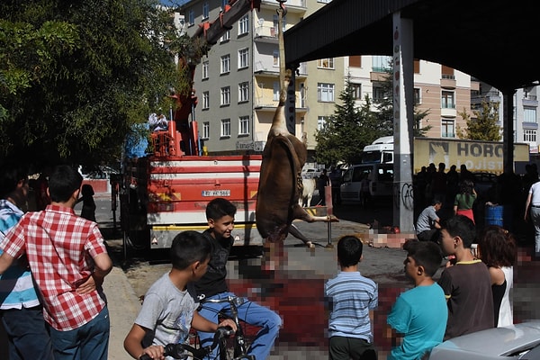 Kurbanlıklar çoğu yerde yine çocukların gözü önünde kesildi