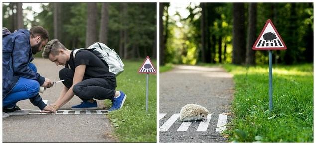 8. Crosswalk for hedgehogs, Lithuania