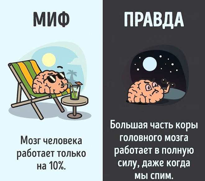 12 мифов о человеческом теле, которых вы еще не знали!