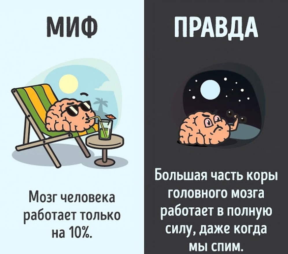 12 мифов о человеческом теле, которых вы еще не знали!