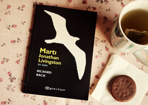 19. Martı Jonathan Livingston - Richard Bach, 152 Sayfa