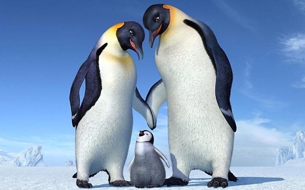 5. Делай ноги (2006)