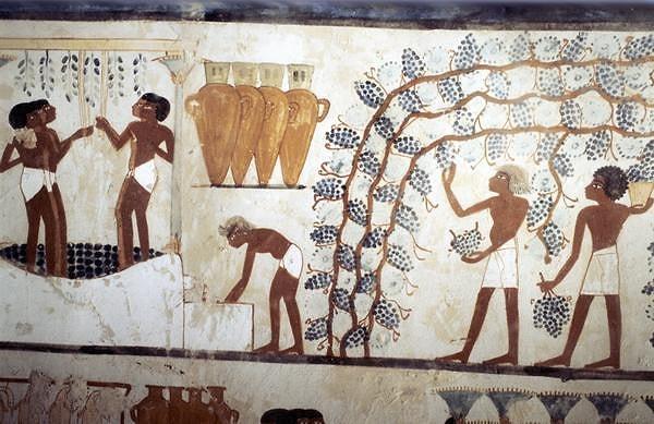 2. Eski Mısır'da; piramitlerin yapımında çalışan işçilerin maaşlarının, günde 1 galon (yaklaşık 4 litre) bira olarak ödenmesi