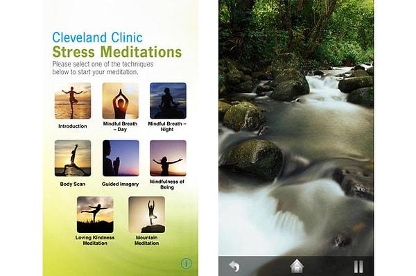 12. Cleveland Clinic Stress Free Now