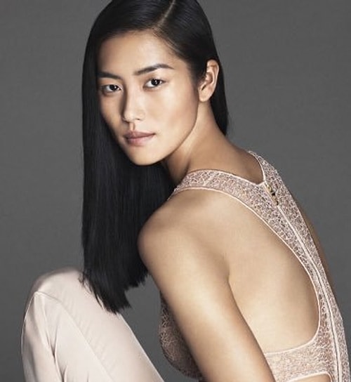 Liu Wen