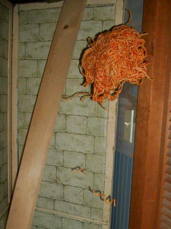 26. Uçan spagetti canavarı gerçekmiş!