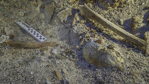 Bulunan iskelet Antikythera enkazında ortaya çıkan ilk iskelet değil