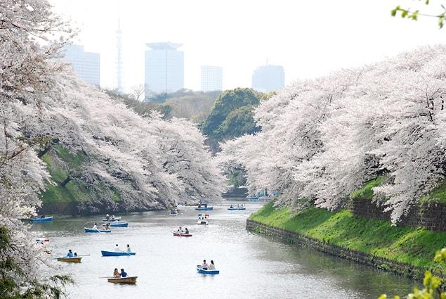 1. Admire the tenderness of Japanese blooming gardens