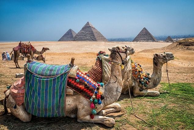 14. Ride a camel next to the Great Pyramids of Giza