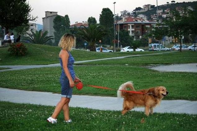 7. You have to pick up your dog's poop, especially in public places like parks or residential areas.