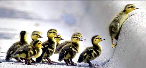 6. Разбейте большое дело на несколько маленьких дел