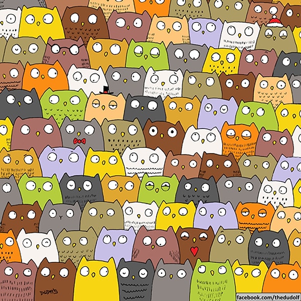 5. А теперь попробуем найти на картинке панду!