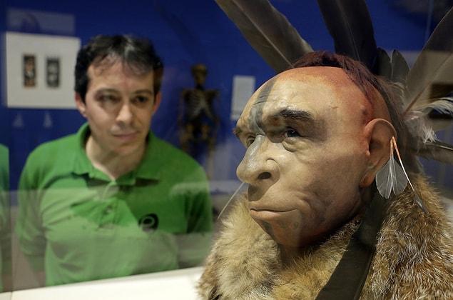 In contrast, Neanderthals seem only to have had simple scraps. This may have probably left them with lower-quality clothes during the coldest periods of the last ice age.
