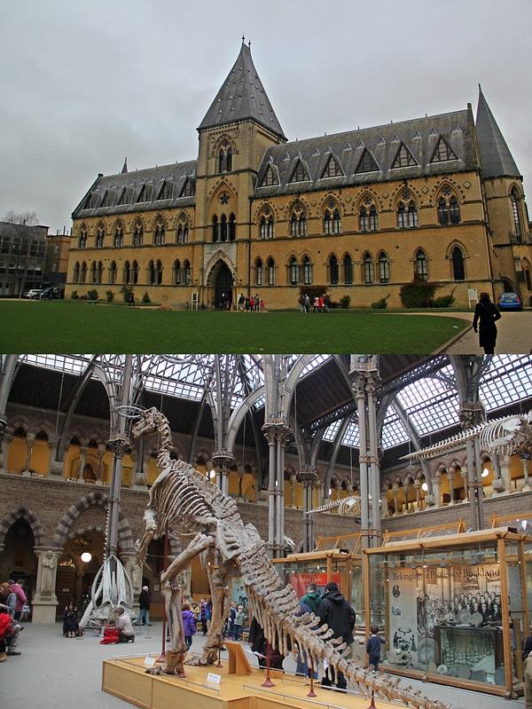 Kültür patlamasına devam: Oxford Üniversitesi Doğal Tarih Müzesi