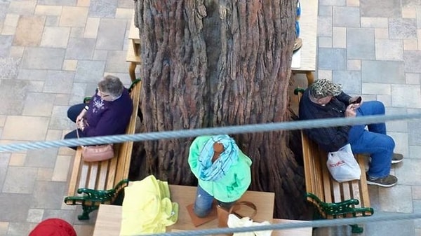 1. Иногда наши бабушки и дедушки умудряются потерять друг друга, находясь в одной комнате